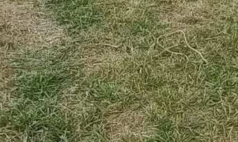 Imagem: Lote/Terreno para venda com 250 metros quadrados