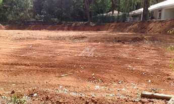 Imagem 5: Terreno - Parque São Quirino - Campinas