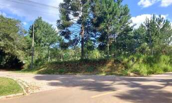 Imagem 4: Campo Largo, Ferraria, chácara 51.425m², na rotatória EcoUmbrella, acesso asfalto, esquina