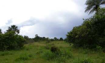 Imagem 5: Fazenda de 226 Hectares em Formoso MG Escriturada
