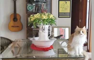 Imagem 3: APARTAMENTO 3 DORMITÓRIOS NO RESIDENCIAL POETA ZININHO - ABRAÃO, FLORIANÓPOLIS