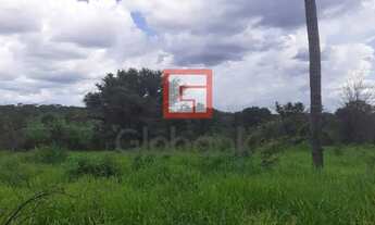 Imagem: Fazenda/Sítio/Chácara em Brasília de