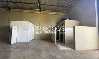 Imagem 5: Imóvel Comercial para aluguel, 3 vagas, Custódio Pereira - Uberlândia/MG