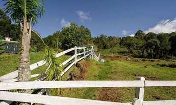 Imagem 6: Area de terra com 52 mil metros a venda