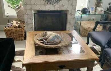 Imagem 3: Casa com 4 dormitórios para alugar, 400 m² por R$ 26.458,33/mês - Residencial Cinco (Alpha