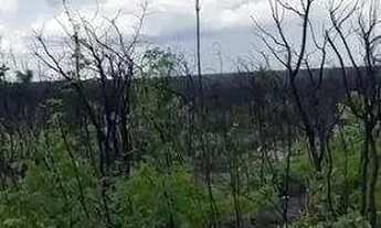 Imagem 6: FAZENDA (3.120 hectares). A 130 KM DE TANGARÁ DA SERRA. OPORTUNIDADE DE NEGÓCIO