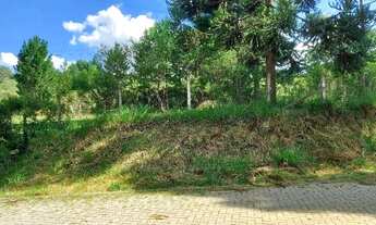 Imagem 6: Campo Largo, Ferraria, chácara 51.425m², na rotatória EcoUmbrella, acesso asfalto, esquina