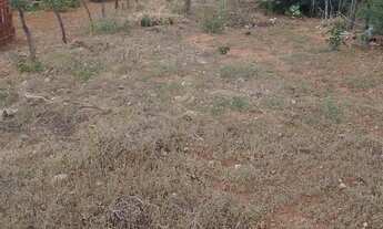 Imagem 3: Oportunidade de ano novo