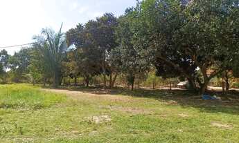 Imagem 6: Chácara na via principal com 6.000 metros quadrado (30x200) na região do Pequize