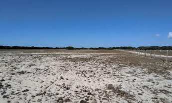 Imagem 7: Área de Terras c/ 193.600M² (4 Alqueires)- Porto do Açu- São João da Barra-RJ- Valor: R$3