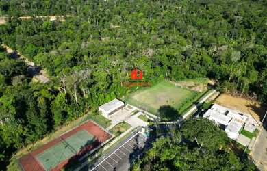 Imagem 7: Lote para Venda em Manaus, Ponta Negra