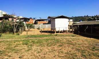 Imagem: Lote no Bairro Silvestre