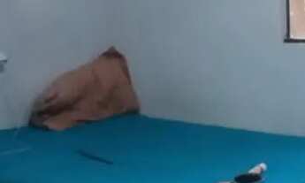 Imagem: Vendo casa em bom jardim nobres MT