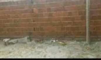 Imagem 5: Casa Casa com 1 dormitório