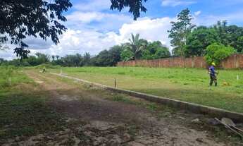 Imagem 6: Vendo 2 hectares em Rosário