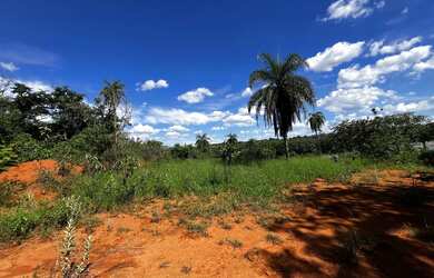 Imagem 2: Lote Mateus Leme