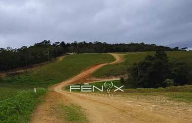 Imagem 3: Liberdade total para criar o que quiser