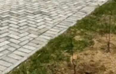 Imagem 6: Terrenos no bairro Capanema - Araçoiaba da Serra - SP