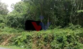 Imagem 3: Terrenos Amplos na Rua Mato Grosso Potencial para Condomínios e Investimento