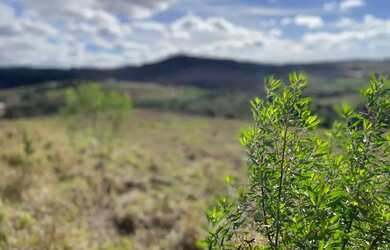 Imagem 6: TIRE HOJE M ESMO SEUS PROJETOS DO PAPEL , VENHA TORNA- LOS SUA MAIS NOVA REALIDADE ADQUIRA