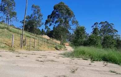 Imagem 7: Terrenos para venda tem 1000 metros quadrados em Centro (São João Novo) - São Roque - SP