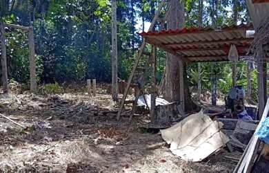 Imagem 4: Vendo sítio no km 41, am 010