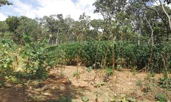 Imagem 4: Sitio de 1260metros em Vargem Grande perto da Serra do Cipó. WhatAap * Guilherme