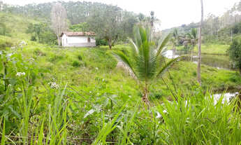 Imagem 7: FAZENDA BR. 101 ITAMARATI / IBIRATAIA. 149 HA. 73 9 9950 0058 ZAP. EDSON