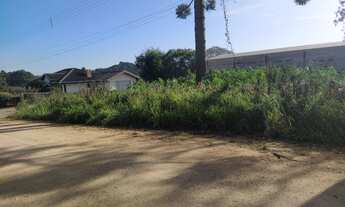 Imagem 3: Lote urbano 990,00m² em Quitandinha-PR