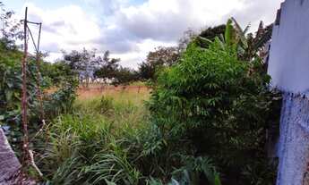 Imagem 3: Caraguatatuba - Loteamento/Condomínio - Cidade Jardim