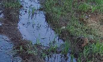 Imagem 3: Terreno na zona urbana de Santarém