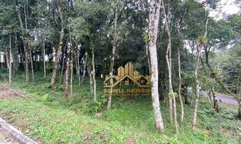 Imagem 14: Terreno à venda, 800 m² por R$ 566.500,00 - Floresta - Gramado/RS