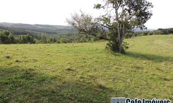 Imagem 7: Fazenda para Venda em Viamão, Sítio São José, 3 dormitórios, 1 suíte, 2 banheiros, 3 vagas