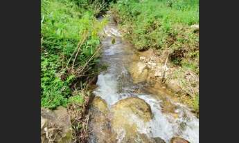 Imagem 6: Vende-se sitio no bairro da Gloria em Cristina-MG