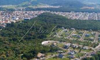 Imagem 5: Terreno para Venda em São José, Forquilhas