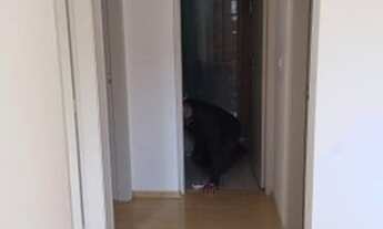 Imagem 5: Apartamento 2 dormitórios R$ 245.000,00