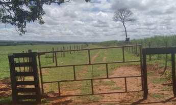 Imagem 2: FAZENDA NA REGIÃO DE ADAMANTINA COM 84,42 ALQUEIRES