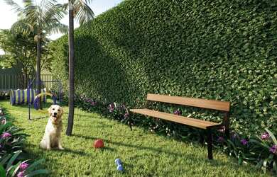 Imagem 5: Apartamento residencial para venda, Vila Matilde, São Paulo - AP11466