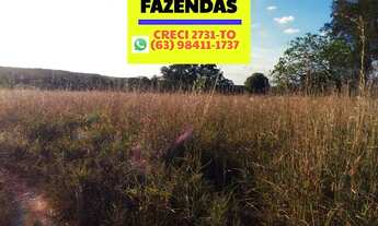 Imagem 7: Fazenda no sul do Tocantins 35,5 Alqueires 171,83 hectares