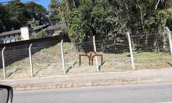 Imagem 3: Terreno à venda, 1750 m² por R$ 3.200.000 - Zona Industrial Norte - Joinville/SC