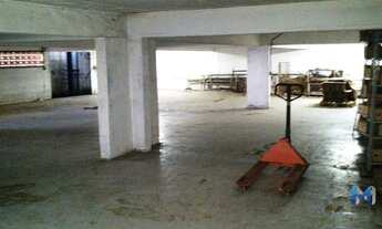 Imagem 6: Galpão Frigorífico com pátio e prédio administrativo - Ramos