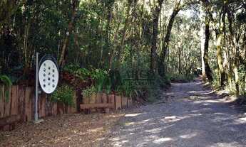 Imagem 2: Terreno à venda, 1346 m² por R$ 1.400.000,00 - Colinas Capivari - Campos do Jordão/SP