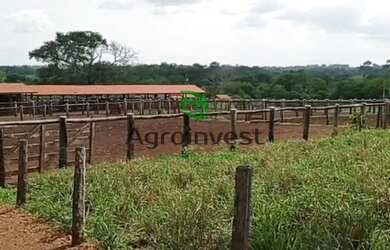 Imagem 9: Fazenda em São Geraldo do Araguaia-PA