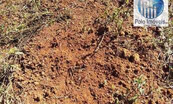 Imagem 6: Sítio 11 Alq. paulista, Para Café, Milho, Soja - Jacuí MG