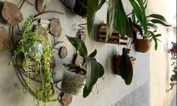 Imagem 4: Vendo imóvel na pedreira