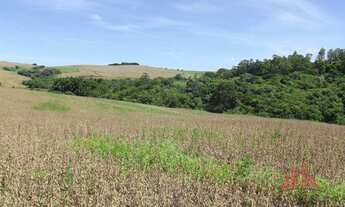 Imagem 2: Área à venda, 24,000 m² por R$ 660.000 - Campo Largo - Santo Antônio da Platina/PR