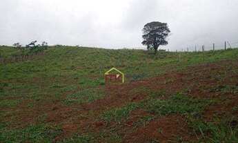 Imagem 2: Área à venda, 3950 m² por R$ 100.000,00 - Roseira - Roseira/SP