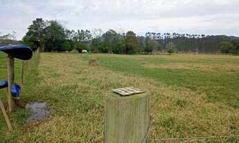 Imagem 7: Terreno de 180.000 metros quadrados na cidade de Luiz Alves SC