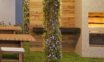 Imagem 5: Alvorada Boa Viagem