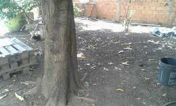 Imagem 3: Terreno - Vila Palmeiras Ii - Campinas